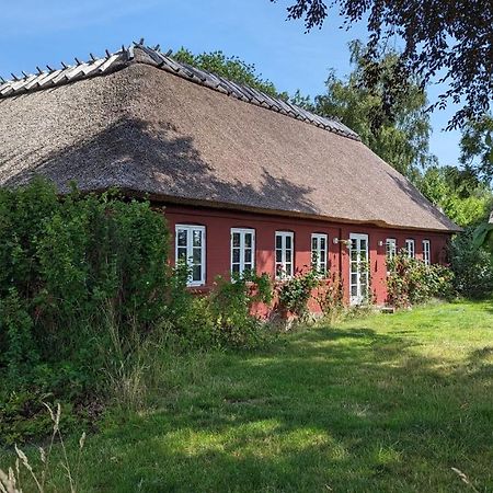 Under Valnødden Bed & Breakfast Stubbekøbing Eksteriør bilde