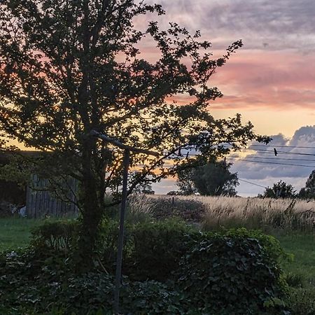 Under Valnødden Bed & Breakfast Stubbekøbing Eksteriør bilde