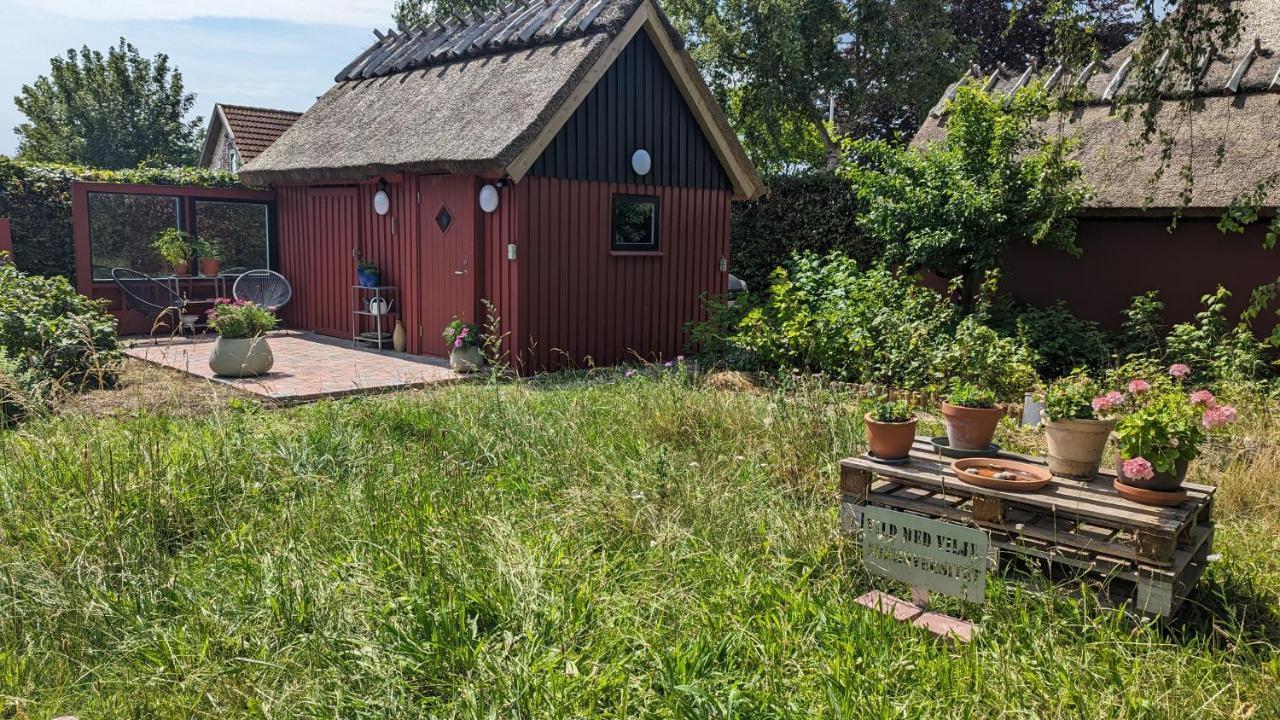 Under Valnødden Bed & Breakfast Stubbekøbing Eksteriør bilde