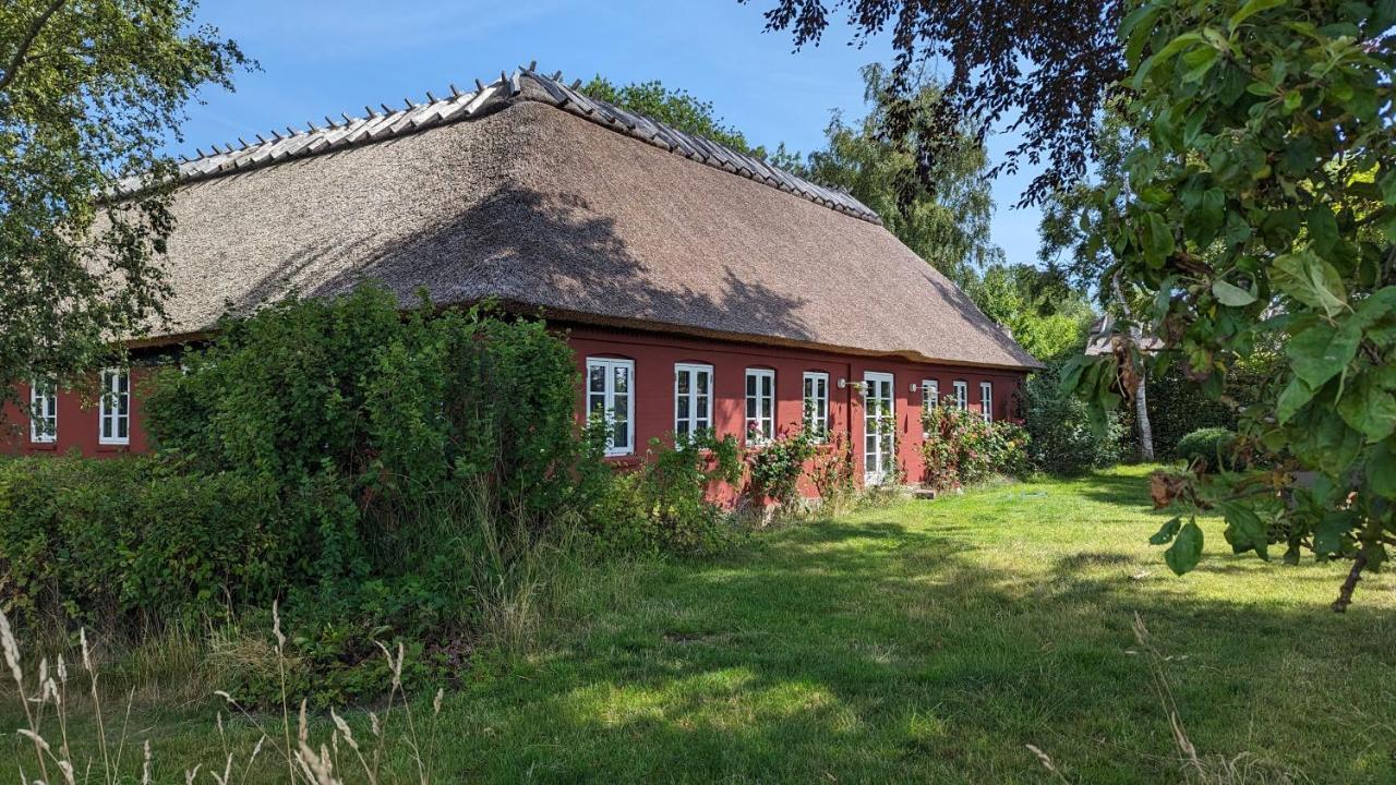 Under Valnødden Bed & Breakfast Stubbekøbing Eksteriør bilde