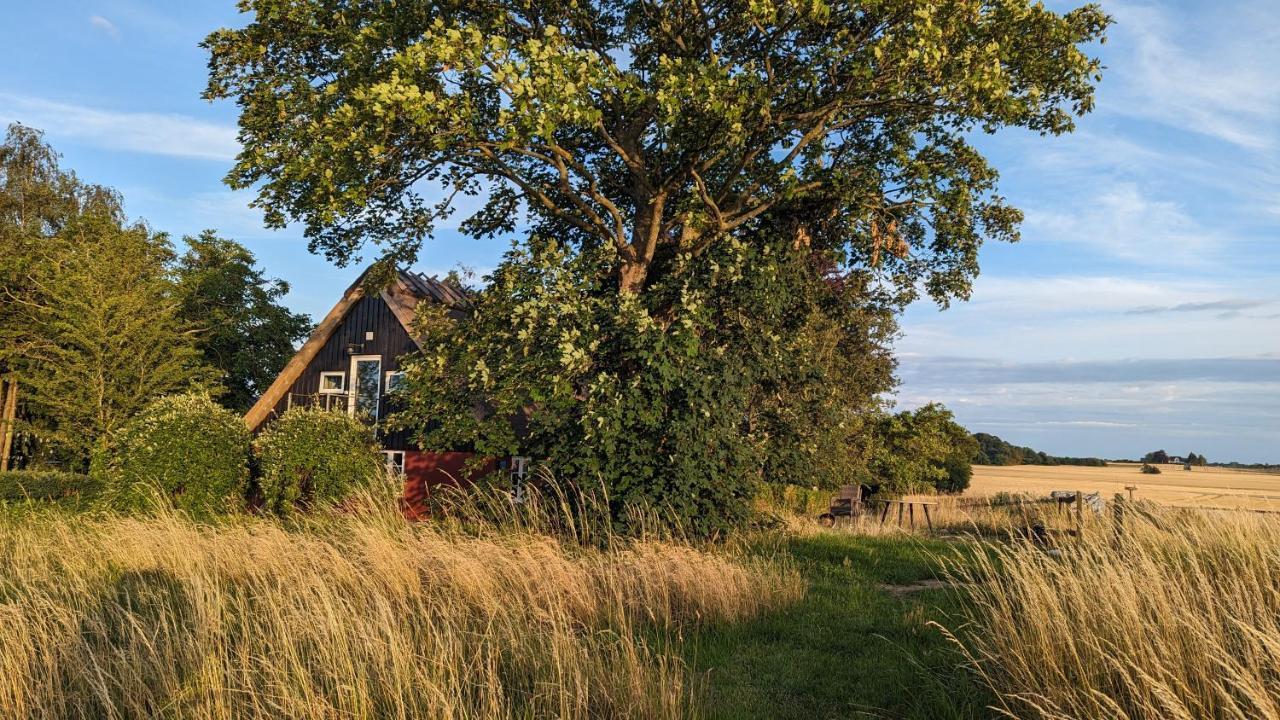 Under Valnødden Bed & Breakfast Stubbekøbing Eksteriør bilde