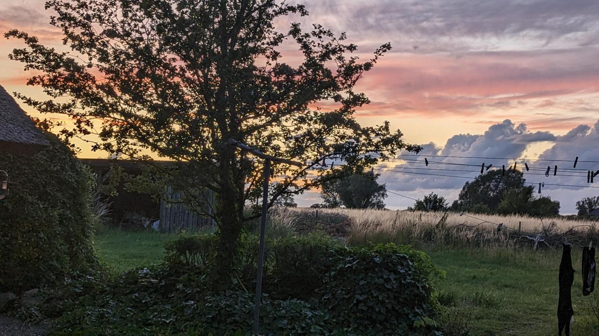 Under Valnødden Bed & Breakfast Stubbekøbing Eksteriør bilde